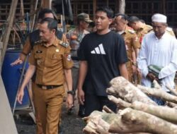 Percepat Hilirisasi Singkong, Wabup Lampung Utara Tinjau Inovasi Pengering Gaplek di Papan Rejo
