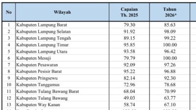 Jalan Provinsi di Kabupaten Jadi Arena Utama: Lonjakan Kemantapan Lampung Ungkap Arah Baru Pembangunan