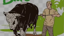Pemkab Sembelih 10 Sapi Qurban