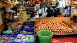 Libur MBG Tekan Permintaan, Harga Ayam dan Telur di Lampung Utara Turun Tajam