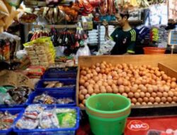 Libur MBG Tekan Permintaan, Harga Ayam dan Telur di Lampung Utara Turun Tajam