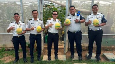 Warga Binaan Lapas Banyuasin Panen 1 Ton Melon, Bukti Pembinaan Tak Sekadar di Balik Jeruji