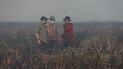 Gubernur Mirza Pastikan Penanganan Kebakaran di Braja Harjosari Terkendali, Tim Gabungan Cegah Api Masuk TN Way Kambas