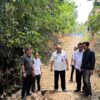 Ketua Dewan Dan Kadis SDABMBK Tinjau Jembatan Rusak  Di Kelapatujuh Dan Pastikan Pembangunanya Di Tahun 2027