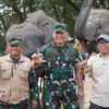 Way Kambas Ubah Strategi Hadapi Konflik Gajah