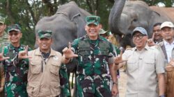 Way Kambas Ubah Strategi Hadapi Konflik Gajah