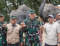 Way Kambas Ubah Strategi Hadapi Konflik Gajah